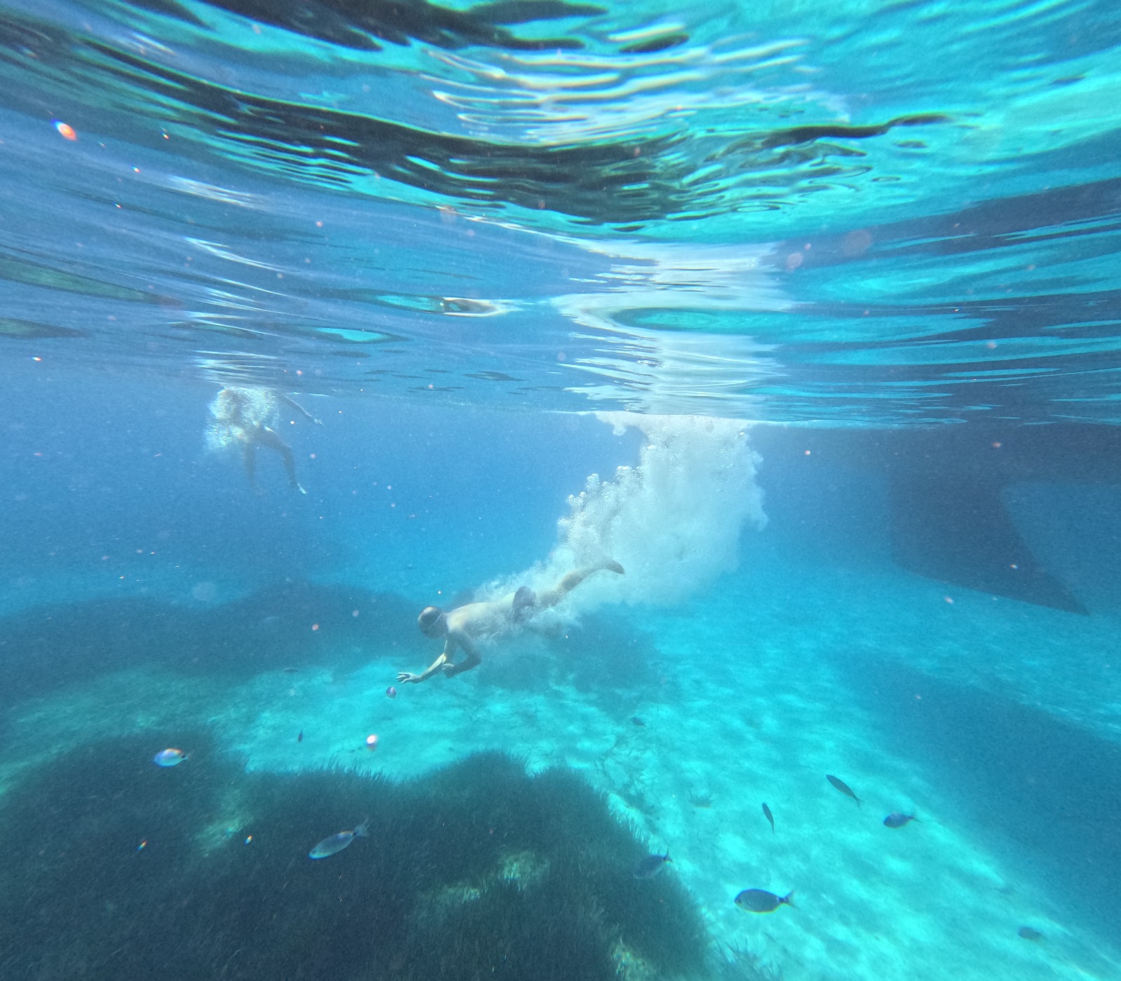 WhatsApp Image 2025-02-26 at 12.16.53 (1)